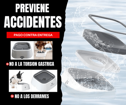 💧 HydroPup – Hidrata Sin Derrames, Cuida Sin Esfuerzo